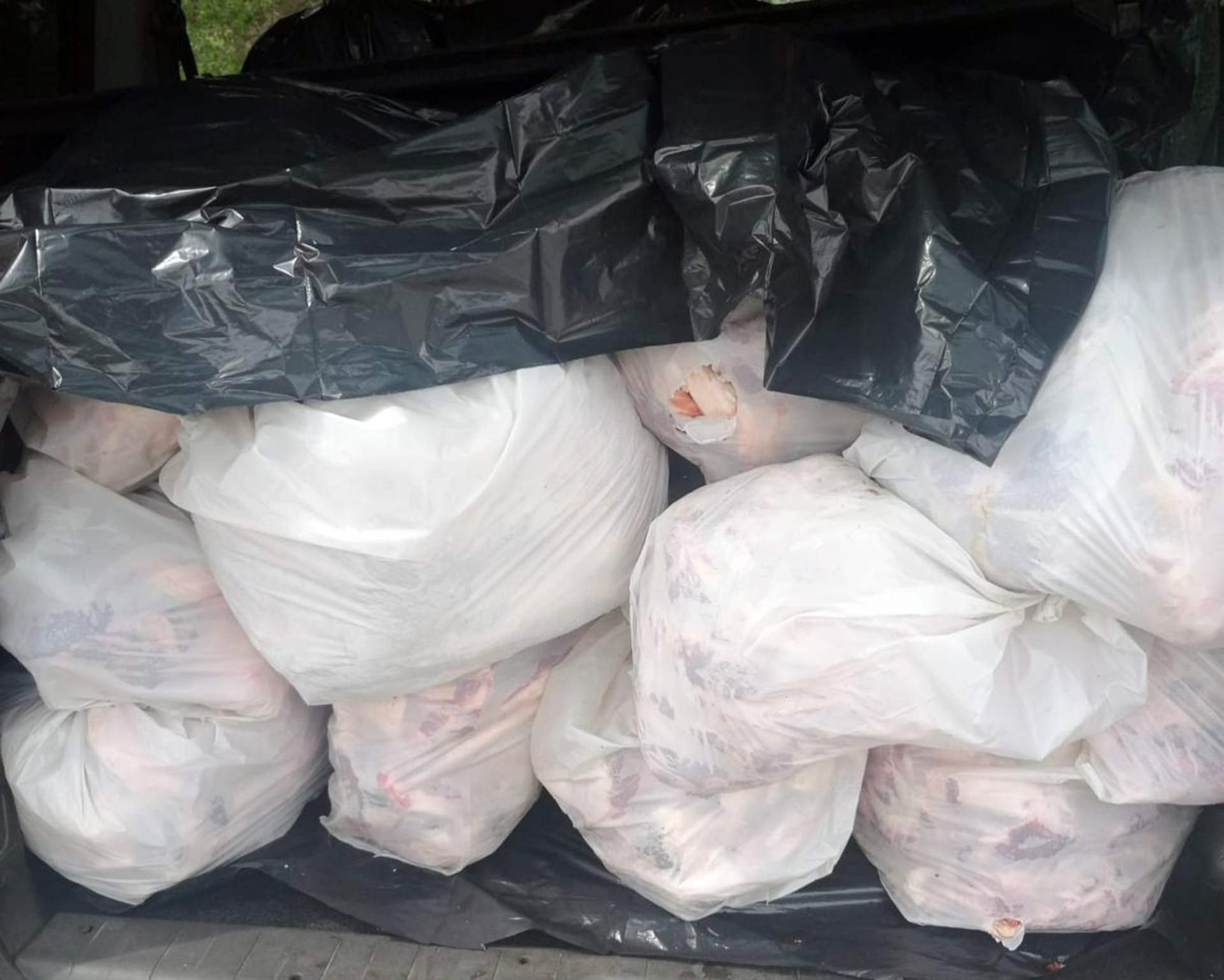 Bodrum'dan Muğla'ya nakledildiği öğrenilen 563 kilo kaçak et yakalandı!