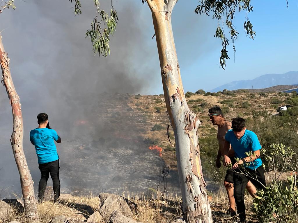 Bitez Aktur yanındaki makilik alanda yangın çıktı