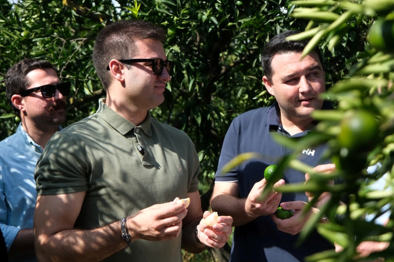 Yeşil Bodrum Mandalini’ne Tek Seferde 55 Tonluk Sipariş