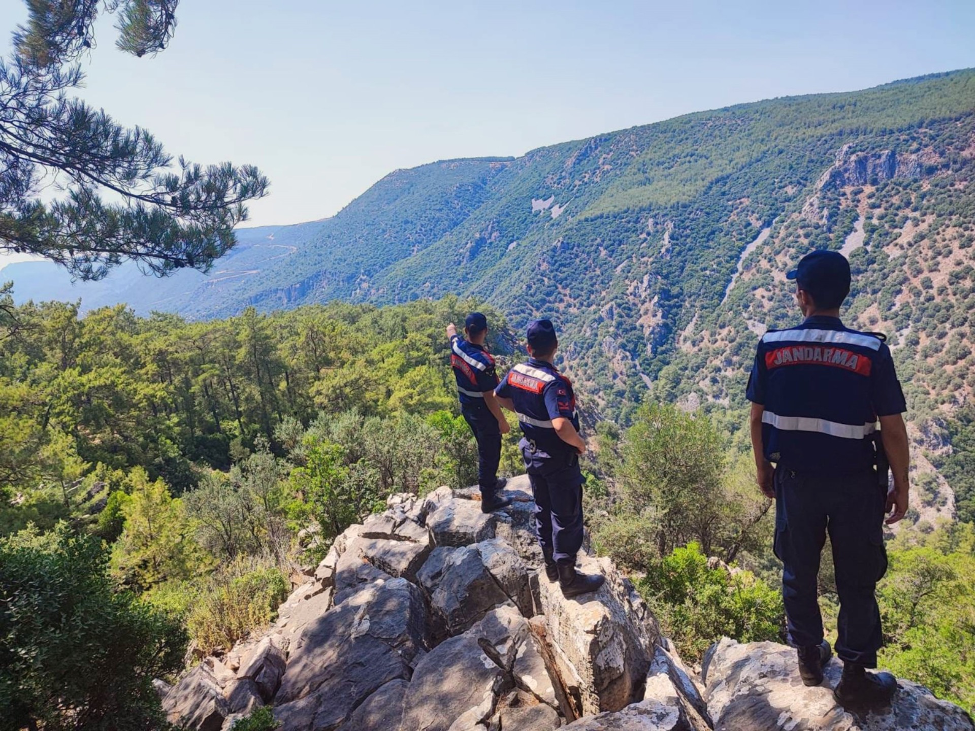 Muğla’da yangın riski yüksek ormanlık alanlara 1 Mayıs-30 Kasım arasında giriş yasak