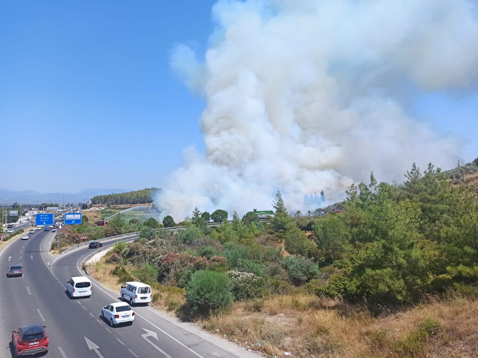 SON DAKİKA! Milas Bodrum Havalimanı sapağında yangın! 