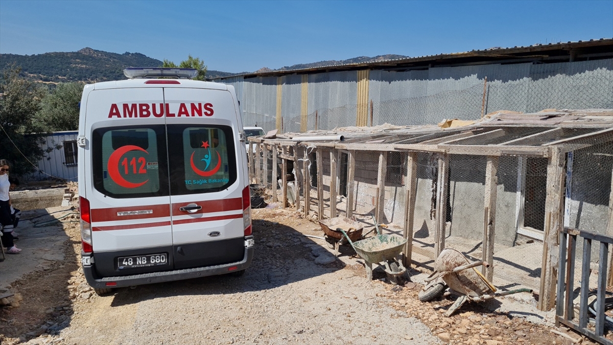 Bodrum'da şüpheli ölüm! Kalbine bıçak saplanmış halde ölü bulundu