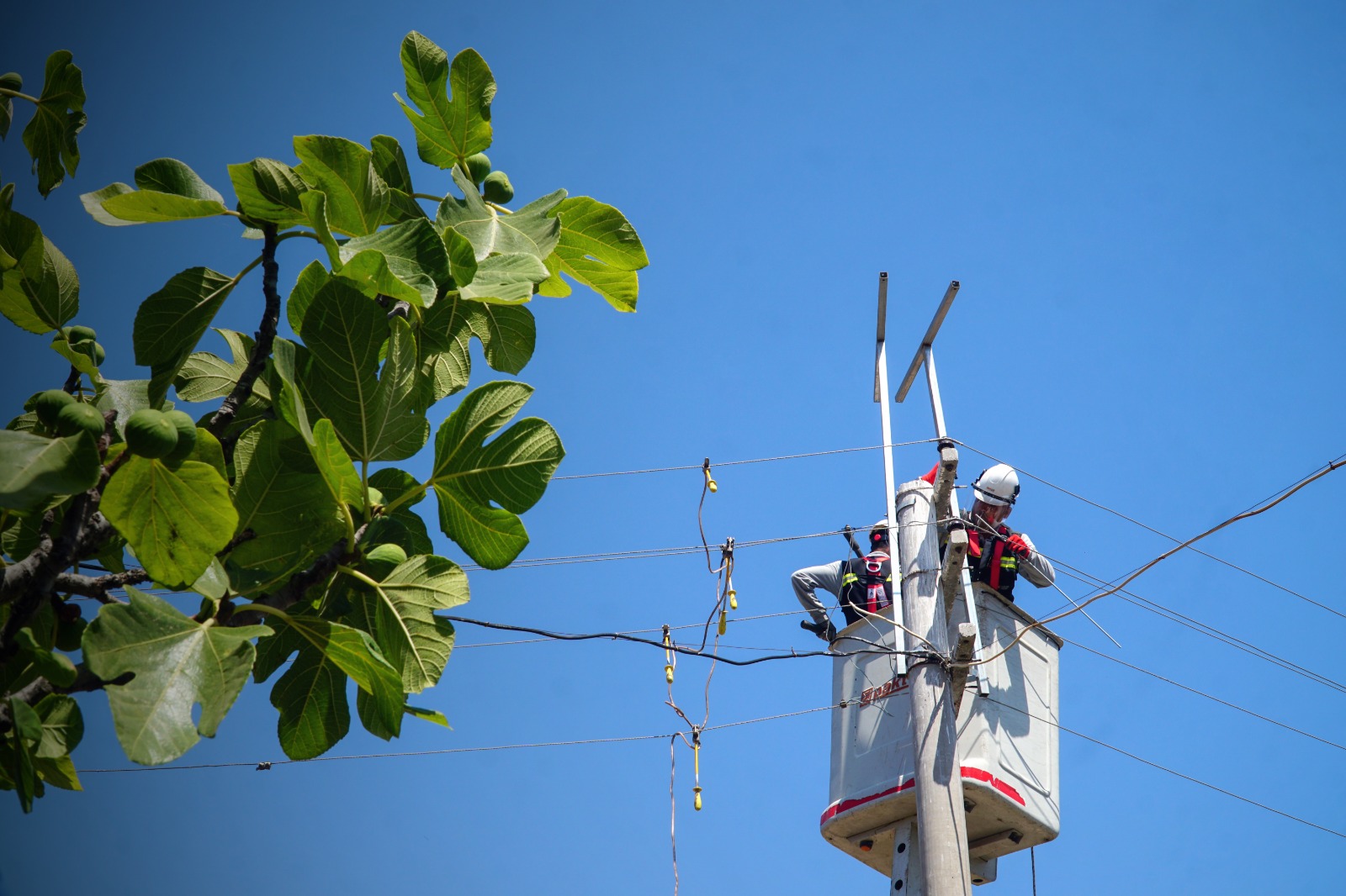 PAZAR GÜNÜ PLANLI ELEKTRİK KESİNTİSİ VAR