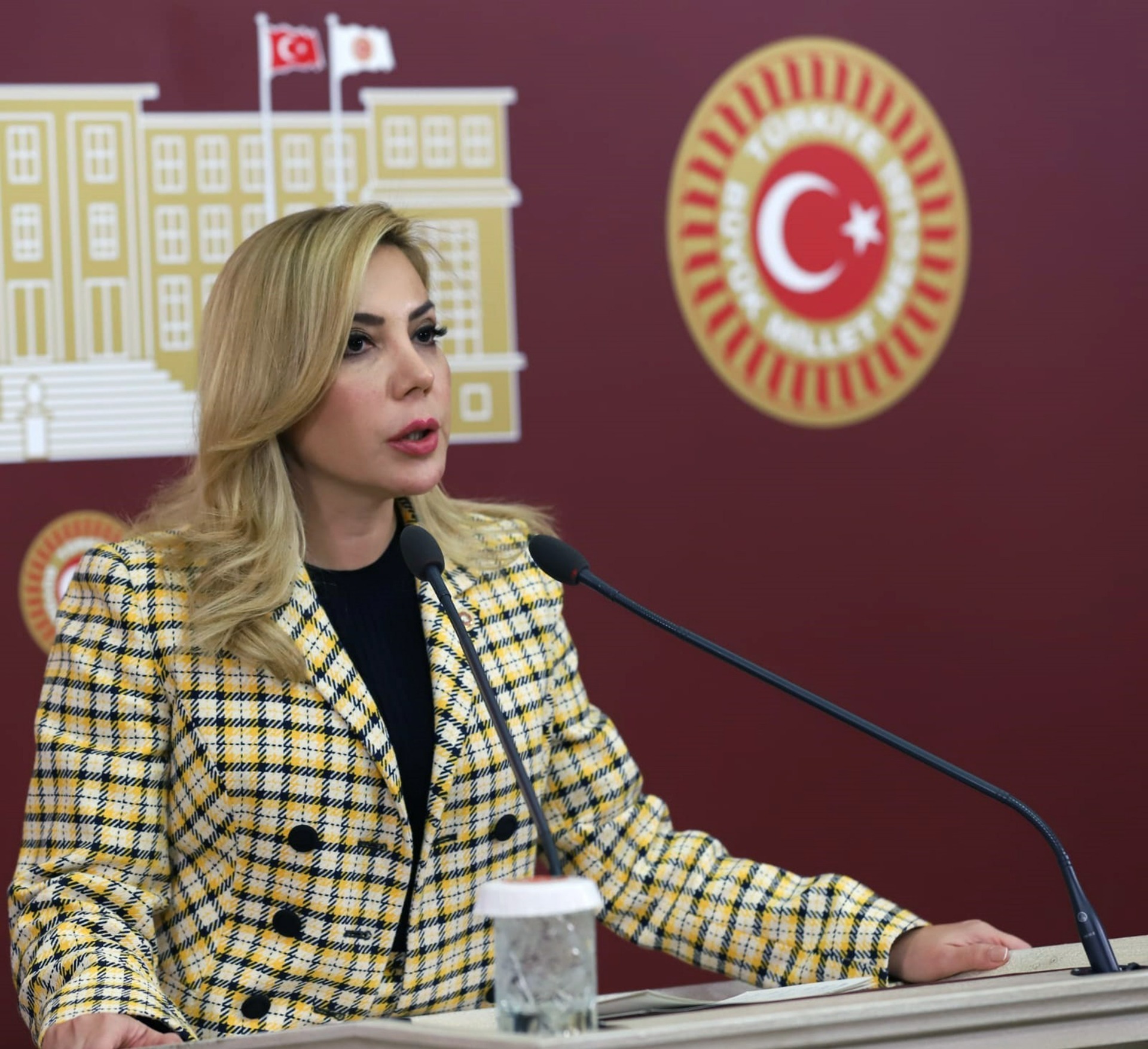 AK Parti Milletvekili Gökcan: 'Sosyal devlet olmanın gereğini yapıyoruz'