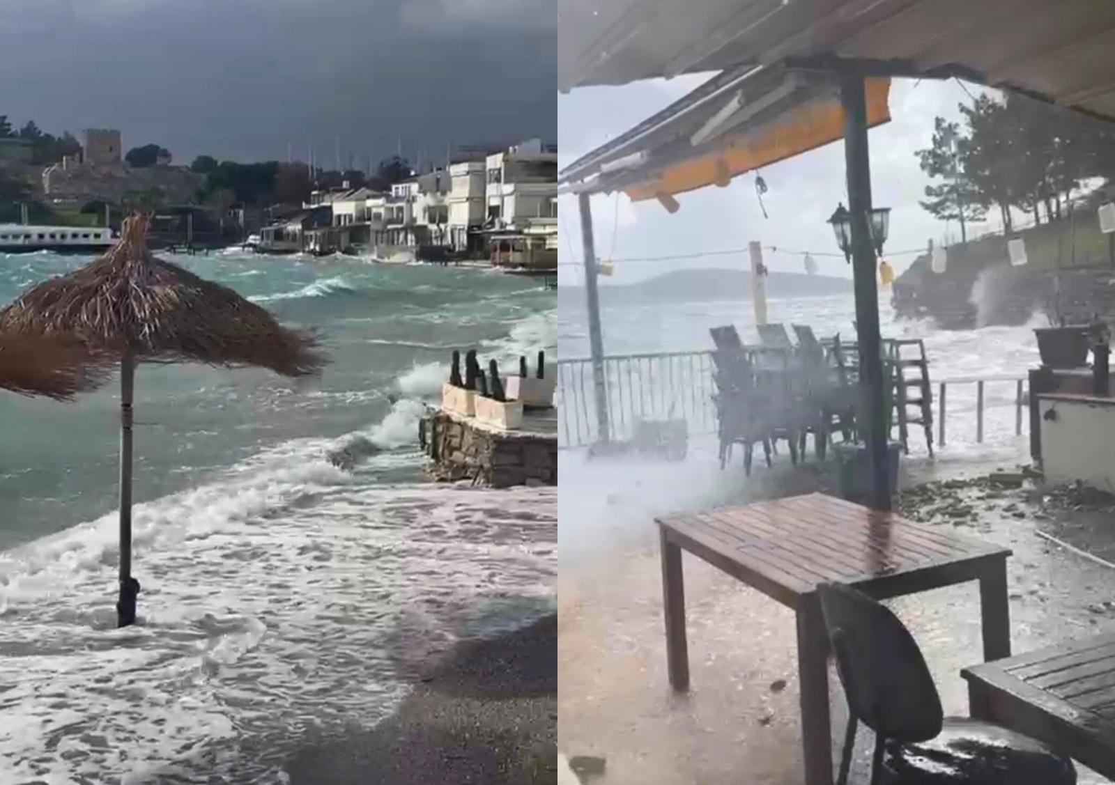 Bodrum’da lodos hayatı olumsuz etkiliyor