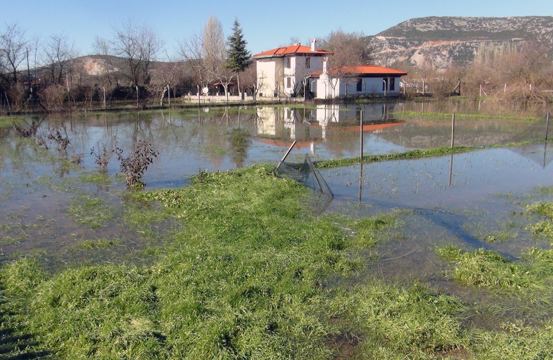 Muğla’da son yağışlar çiftçiyi sevindirdi
