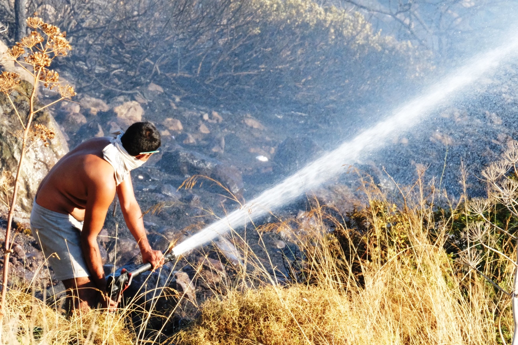 Bodrum’da Ali Kelle Ormanı kül oldu