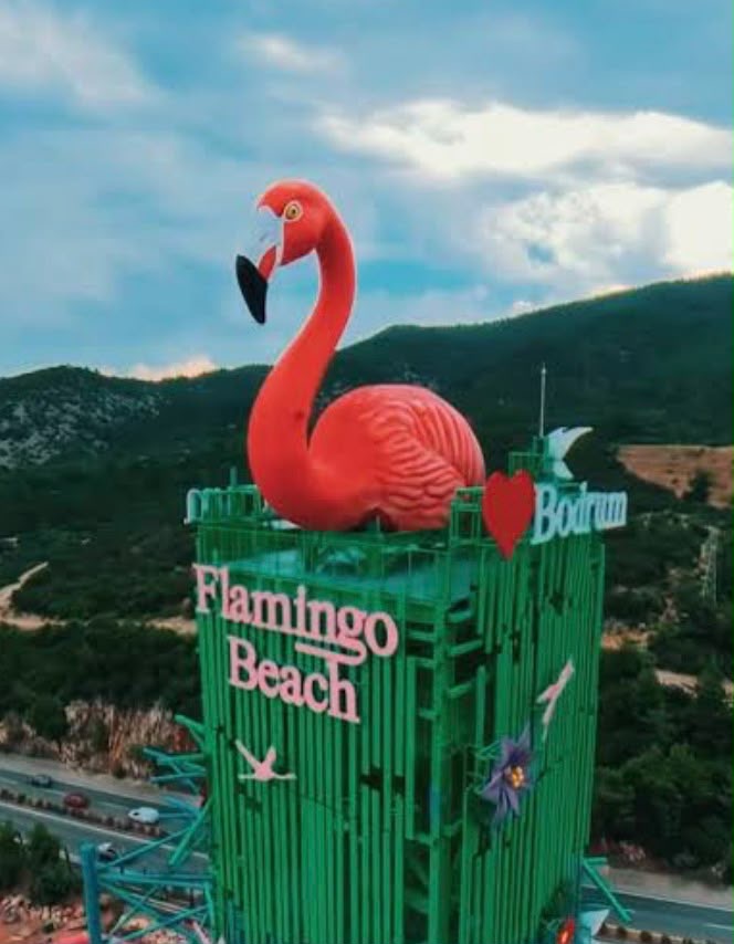 Mimarlar Odası Bodrum Temsilciliği: ‘Usuluk’ta Tartışılması Gereken Flamingo Değil, Çelik Yapının Hukuki Durumu’
