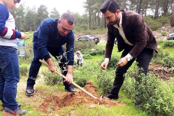 AFRİN ŞEHİTLERİ ANISINA AK PARTİ’DEN ZEYTİN FİDANI