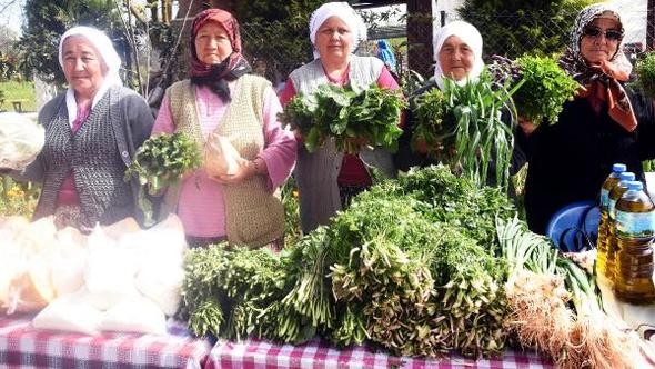 BODRUM’DA YILIN İLK OT ŞENLİĞİ