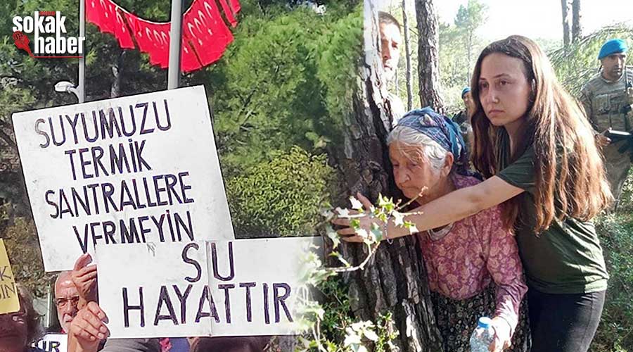 Dört bir yandan işgal altındaki Muğla hızla yok oluyor!