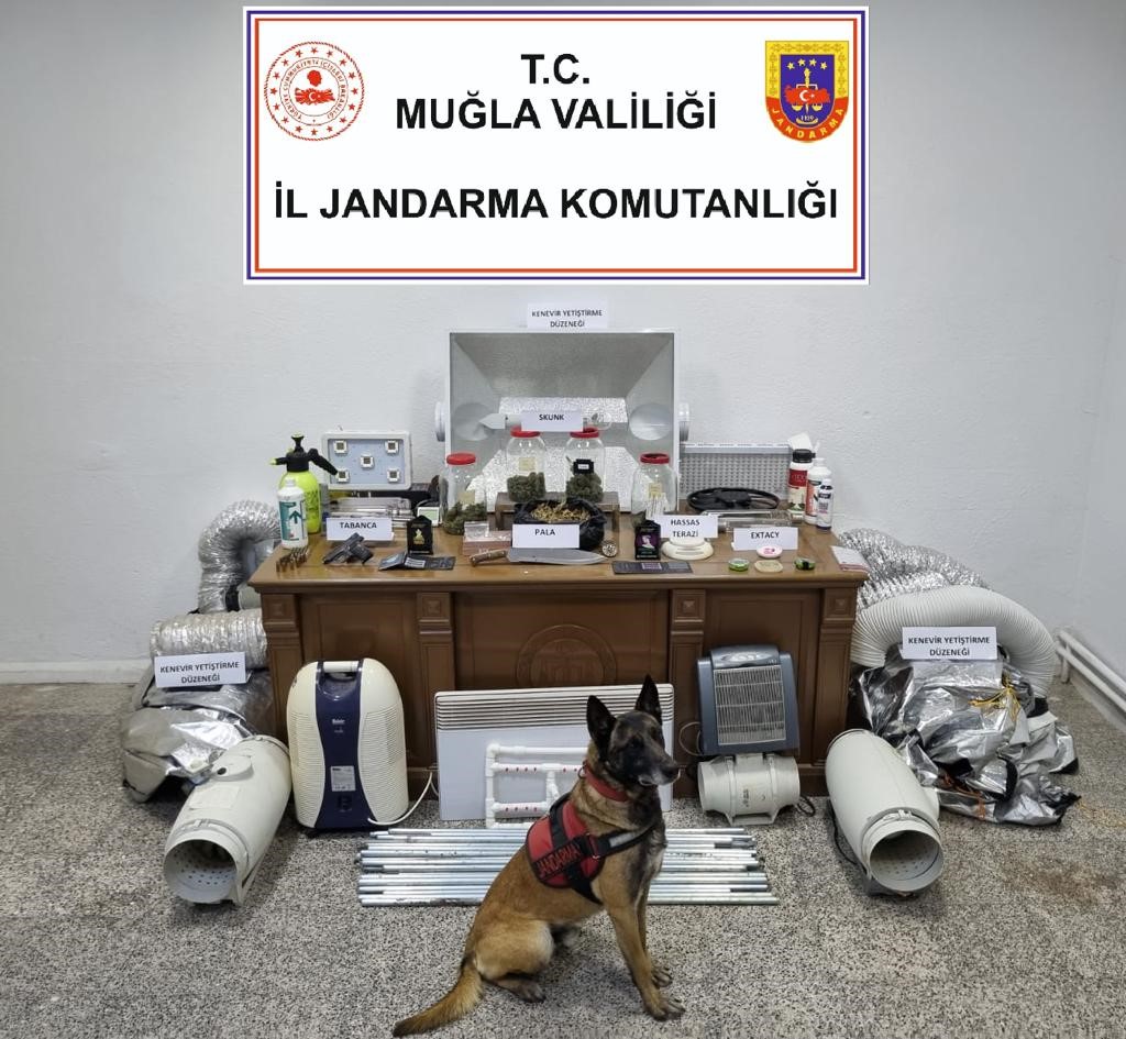 Evini uyuşturucu tarlasına çevirmiş