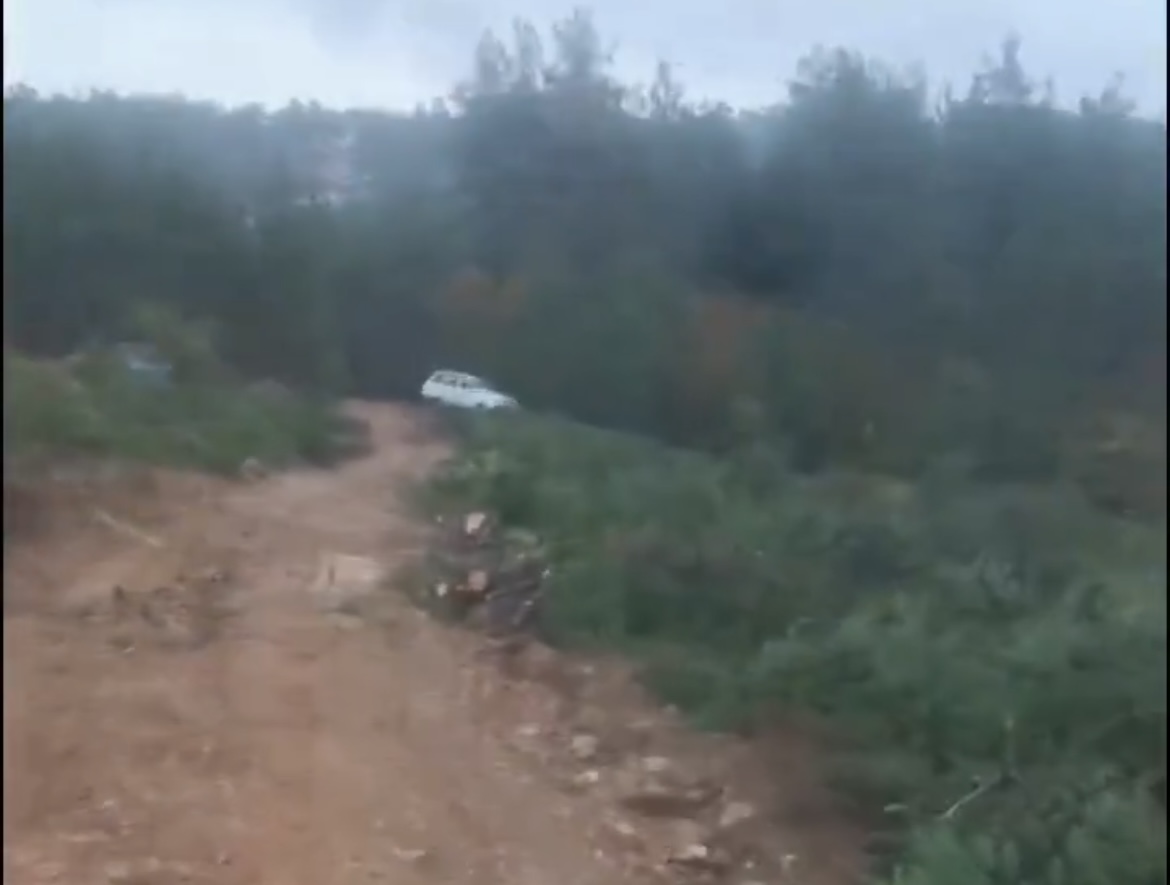 Bodrum Cennet Koyunu cehenneme çeviren Cengiz İnşaat, Çanakkale’de ağaç katlediyor!