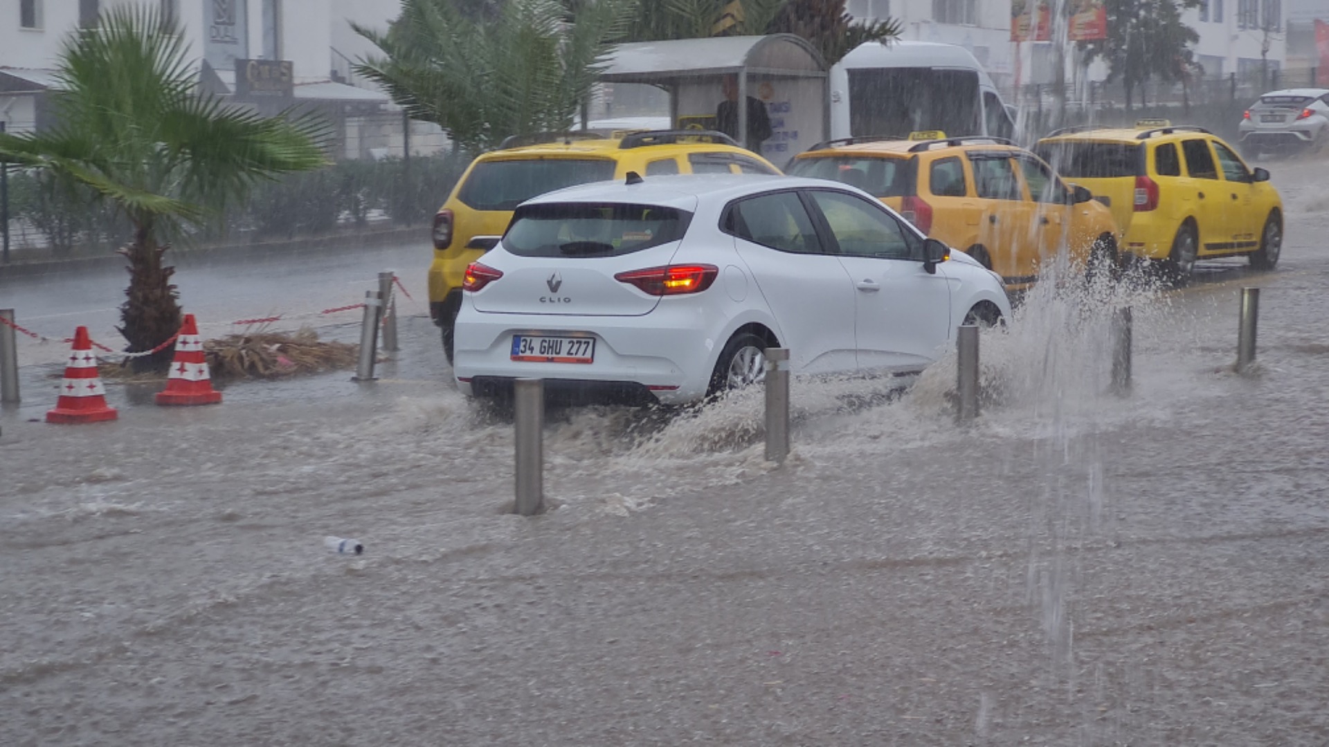 Bodrum’da Kasım bereketi