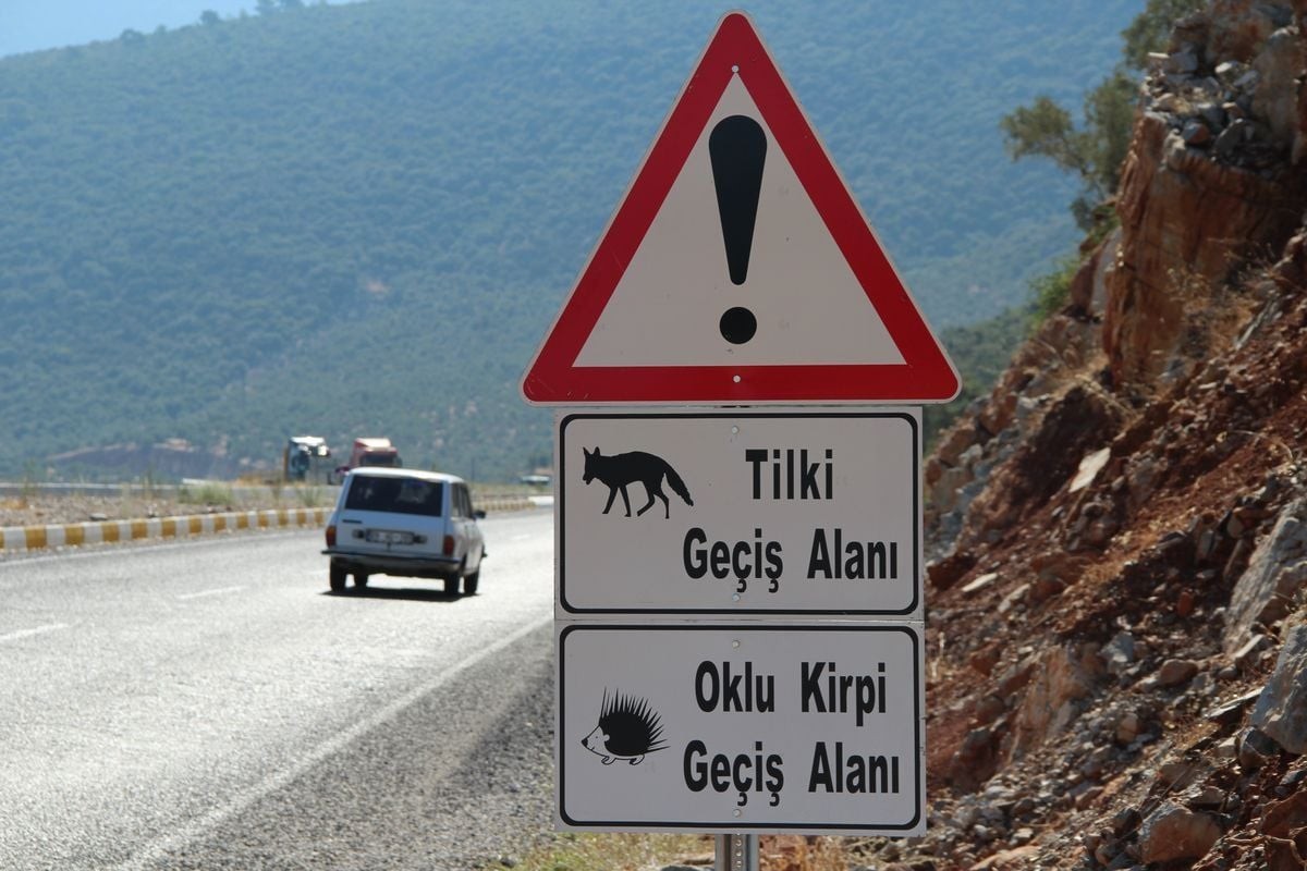 Doğaseverlerden, ekolojik köprü çağrısı 