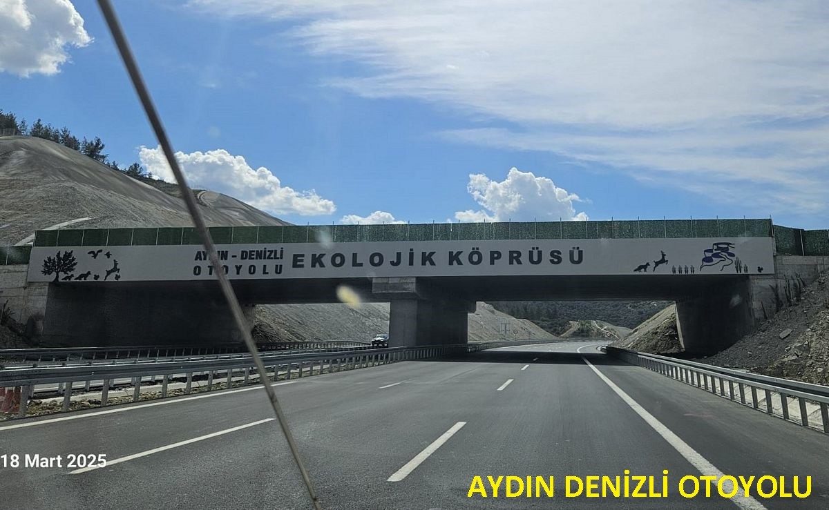 Doğaseverlerden, ekolojik köprü çağrısı 