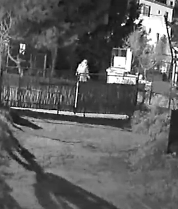 Bodrum'da 12 hayvanı zehirlediği iddia edilen şahıs yakalandı