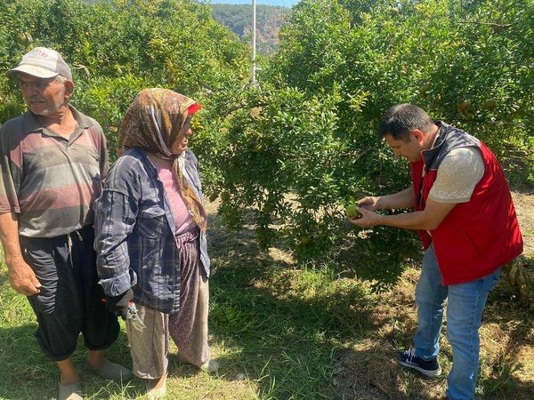 Muğla'da 'zararlı' kontrolü