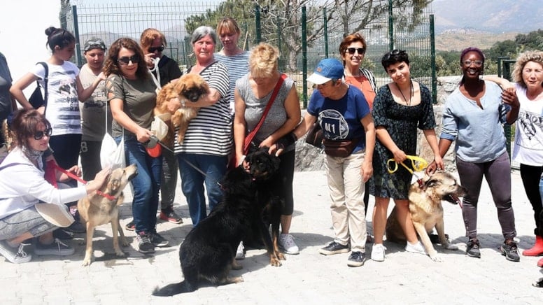 Valilikten Bodrum Belediyesi’ne 100 milyon TL'lik sokak hayvanları cezası onaylandı!
