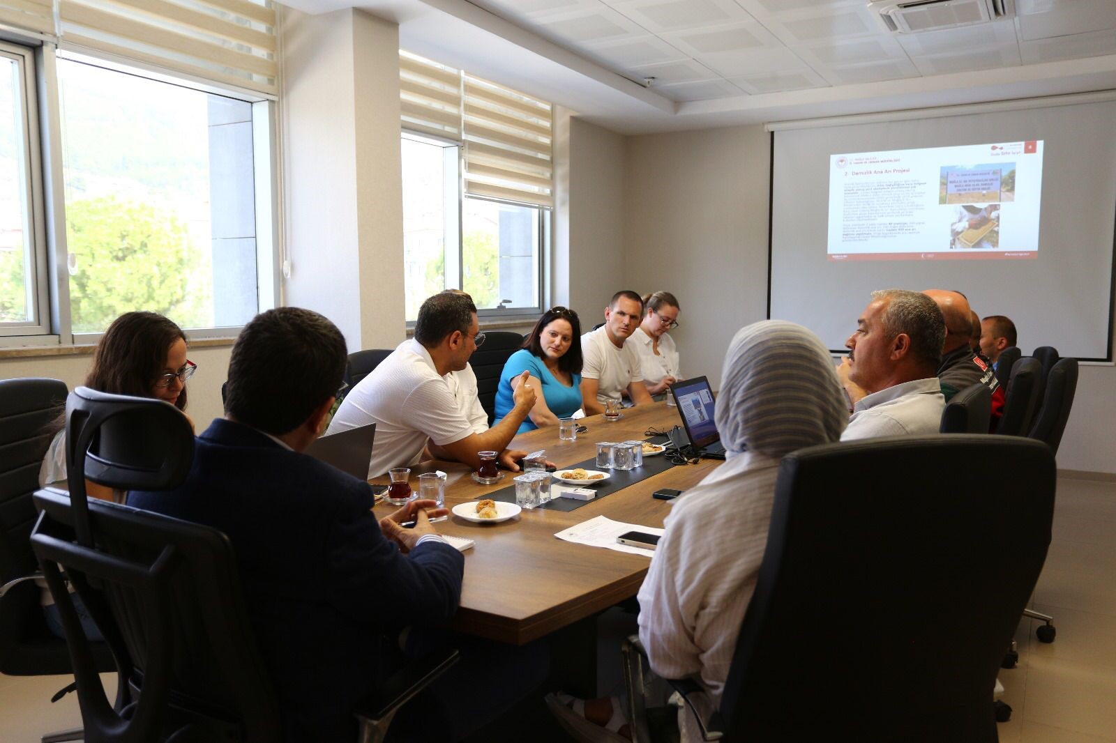 Muğla'dan İngiltere'ye bal hattı 