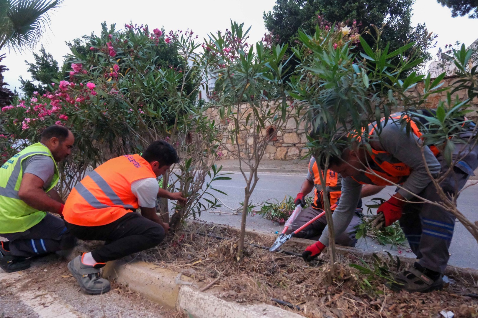 Bodrum’da Kurban Bayramı öncesi çalışmalar sürüyor 