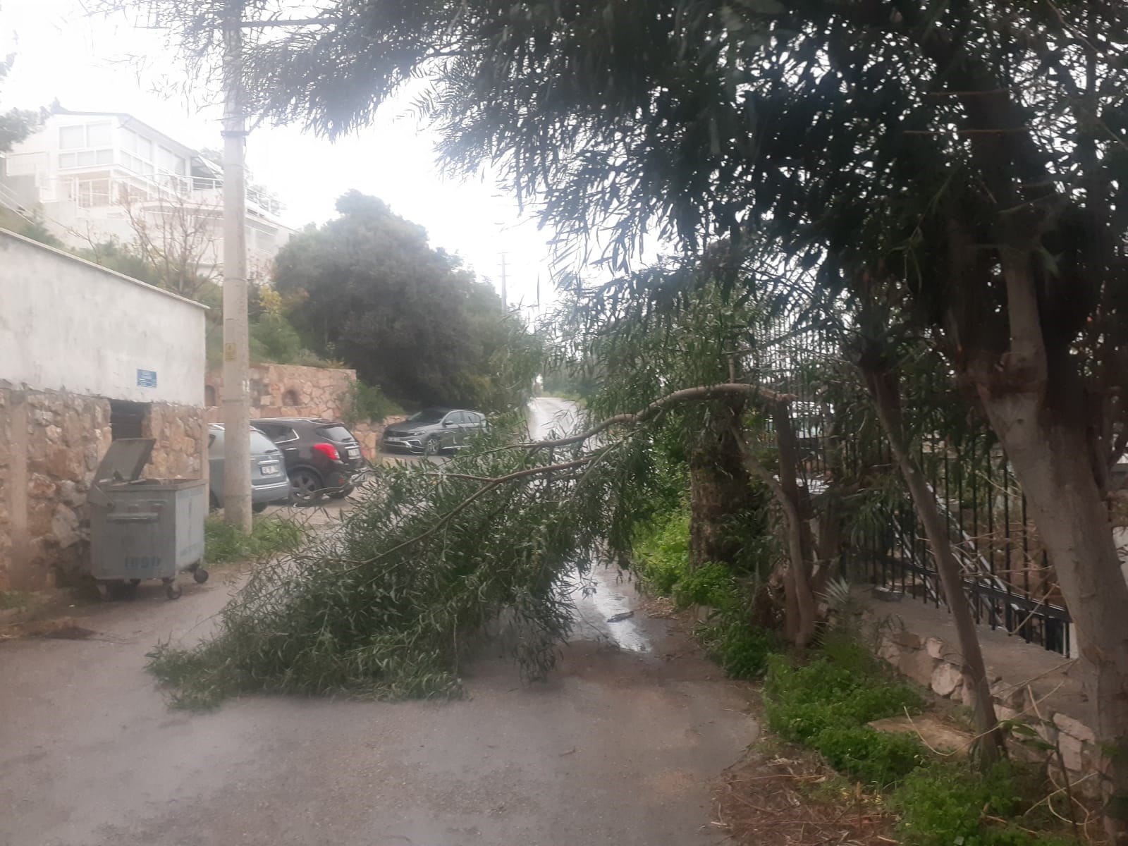 Bodrum’da fırtına ve sağanak yağış etkili oldu