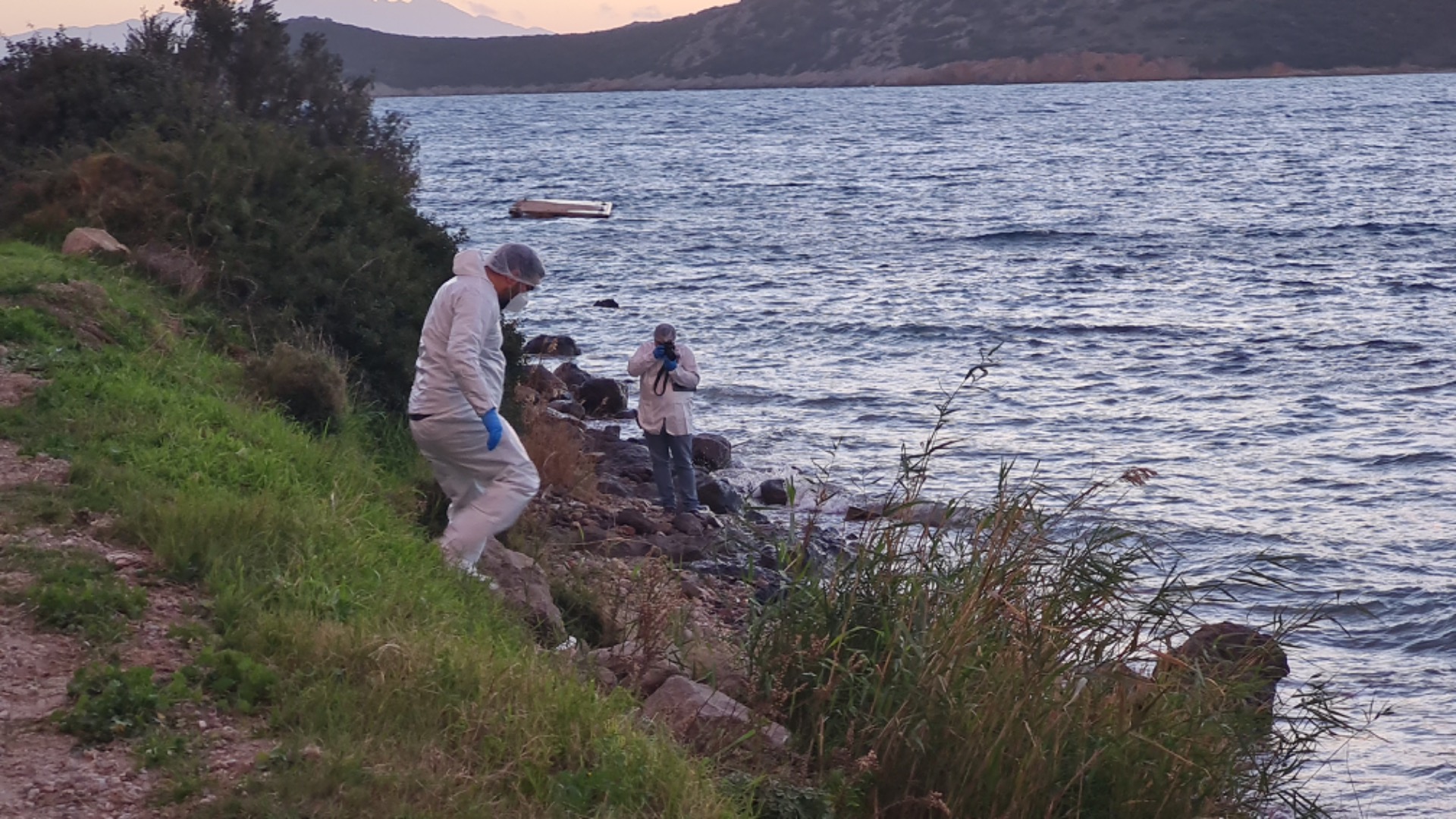 Bodrum'da çürümüş halde ceset sahile vurdu