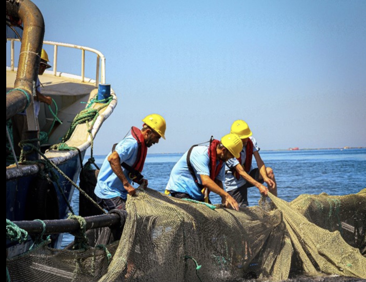 Muğla'nın su ürünleri ihracatı 500 milyon dolara yaklaştı