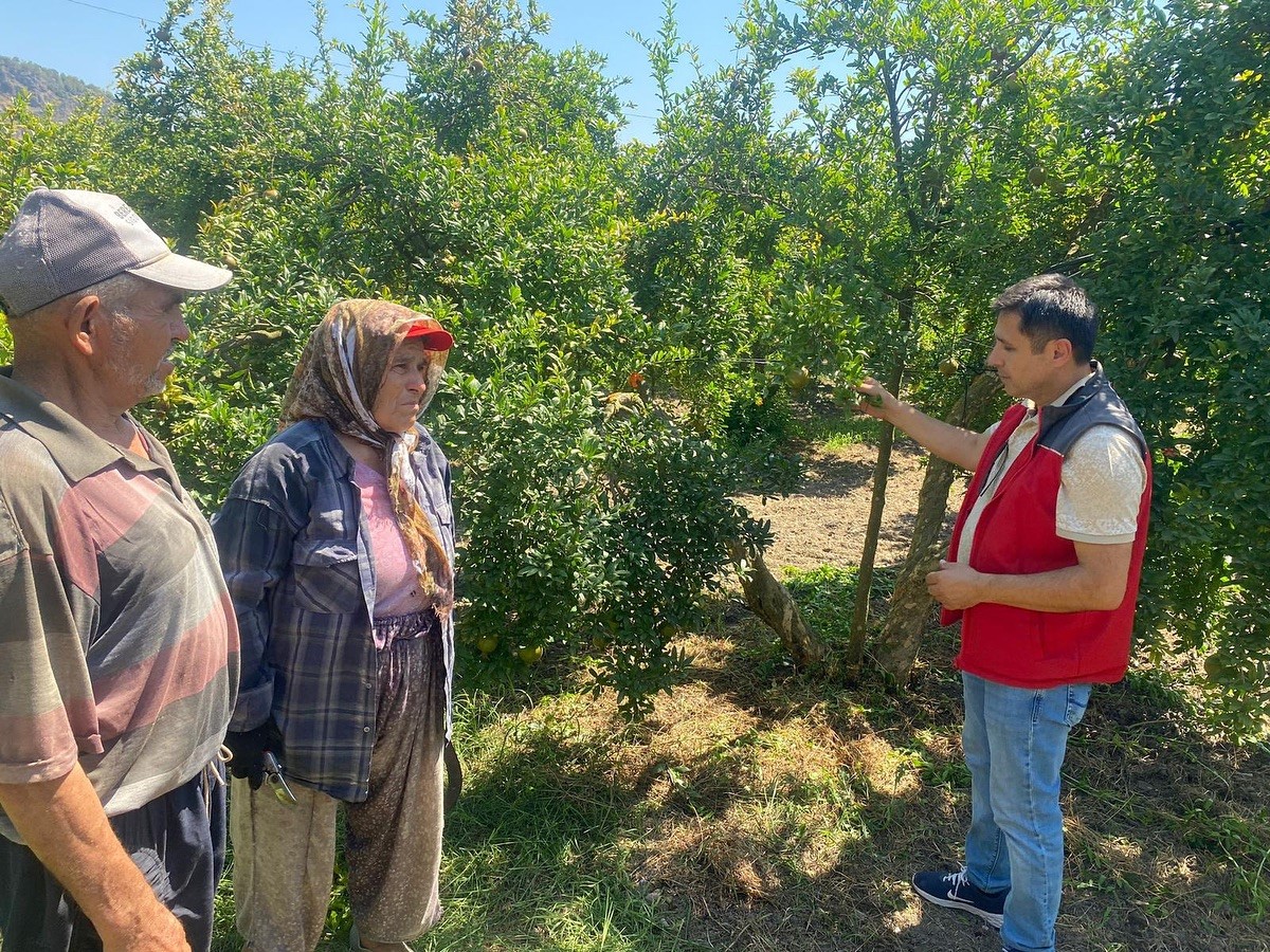 Muğla'da 'zararlı' kontrolü