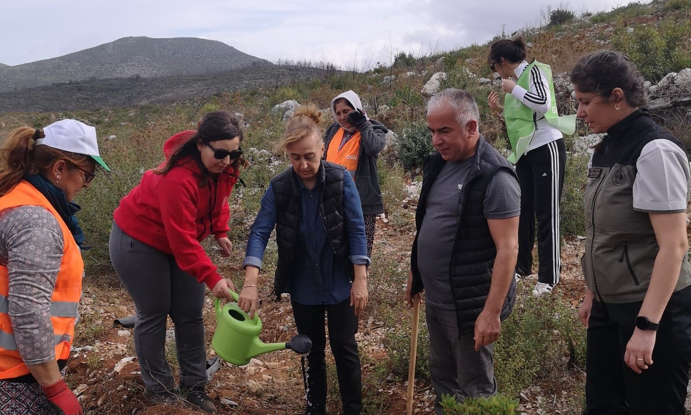  Bodrum'da 10 bin fidan toprakla buluştu