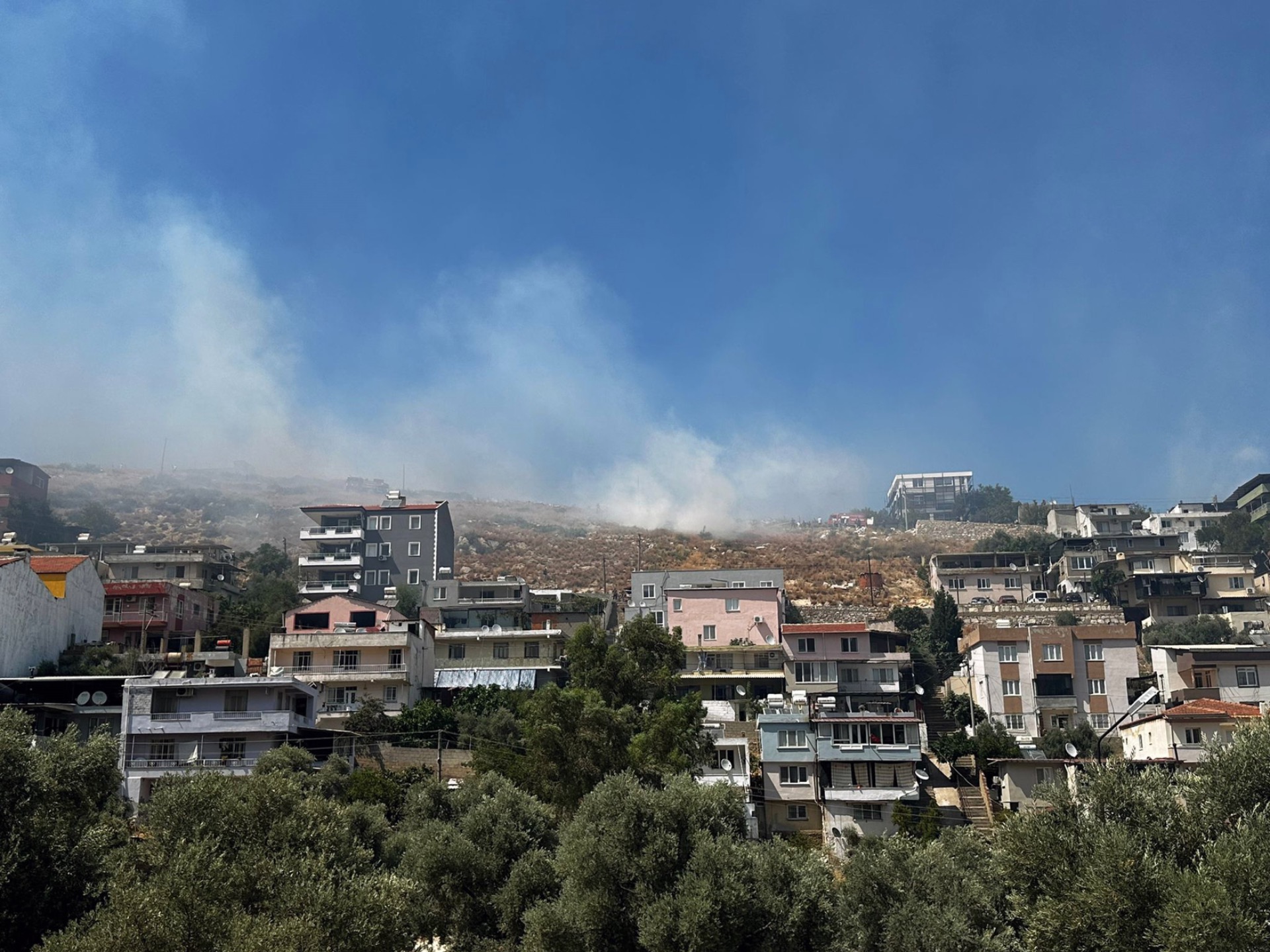 Milas’ta makilik yangını evleri tehdit etti