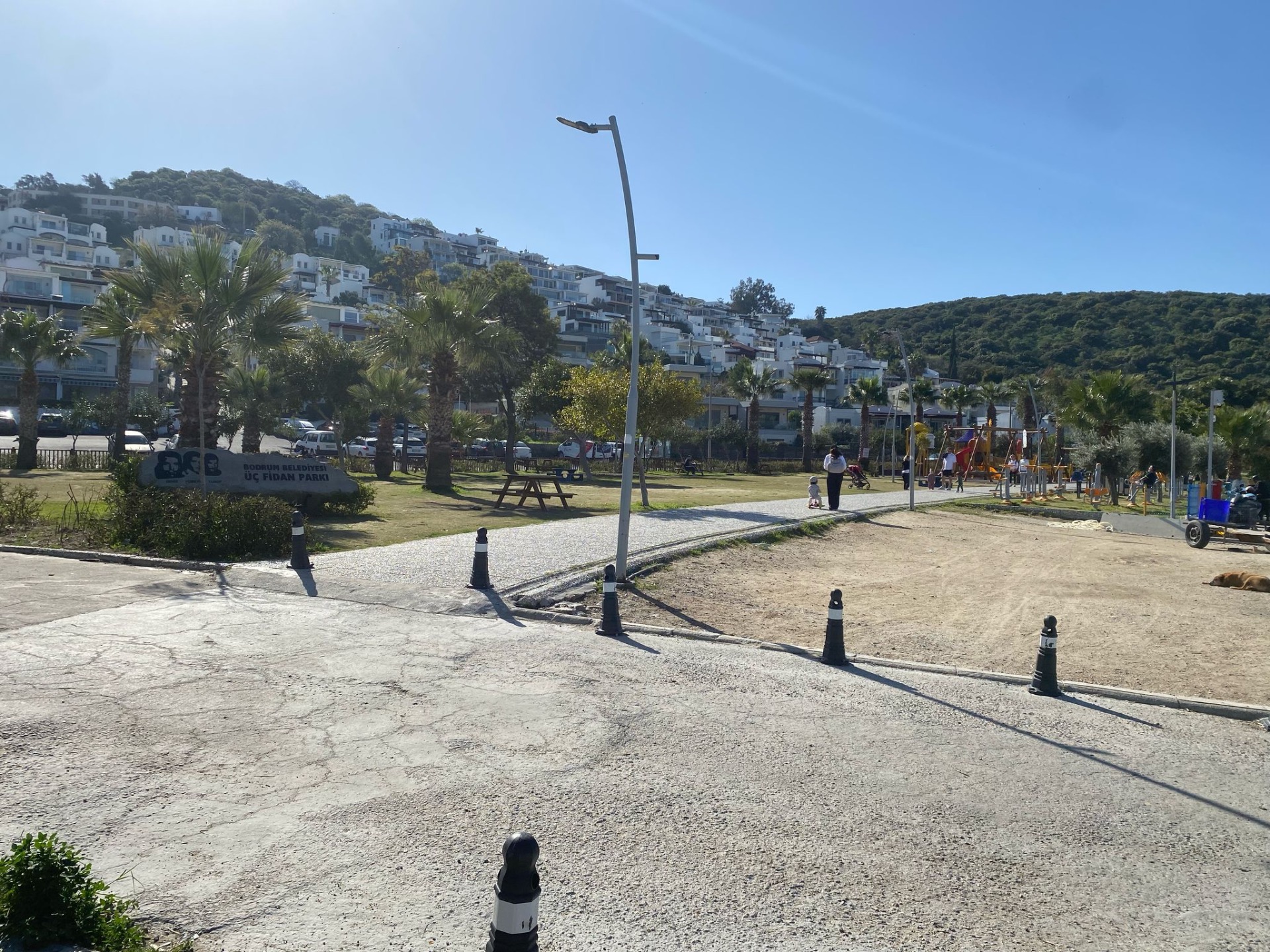 Bodrum Bitez’de zehirlenen 2 köpek, yaşamını yitirdi!
