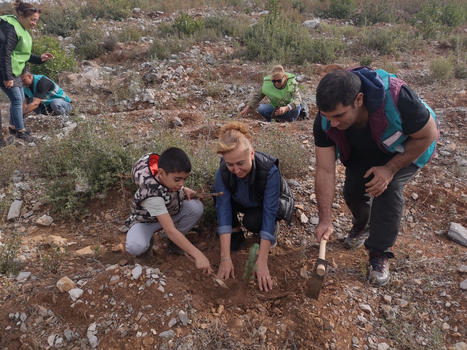  Bodrum'da 10 bin fidan toprakla buluştu