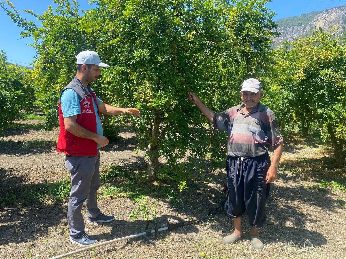 Muğla'da 'zararlı' kontrolü