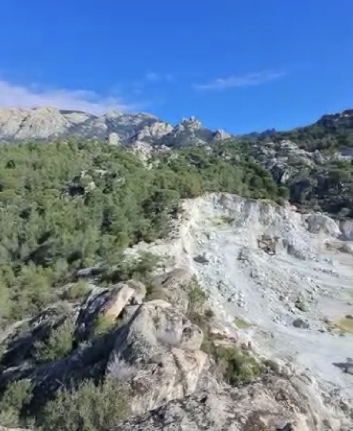 Maden; ormanlarımızı, fıstık çamlarımızı yok ediyor!’