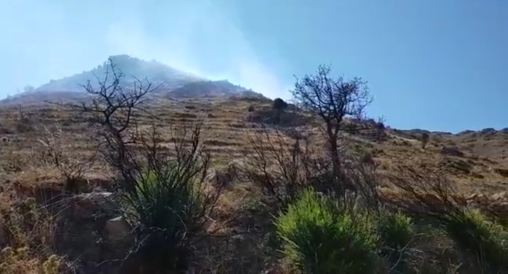 Bodrum’da otluk - makilik alanda çıkan yangında 3 hektar, kül oldu! 