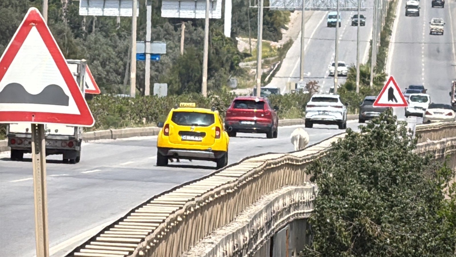Eşekler trafiği birbirine kattı