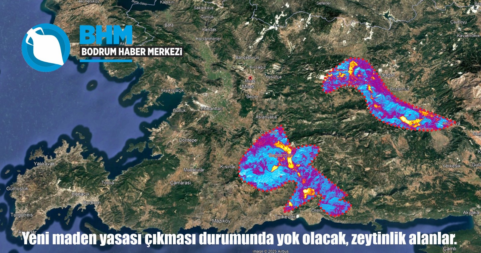 Bu yasa geçerse, Milas'ın zeytinlik alanları yok olacak. İşte yok olacak alan!