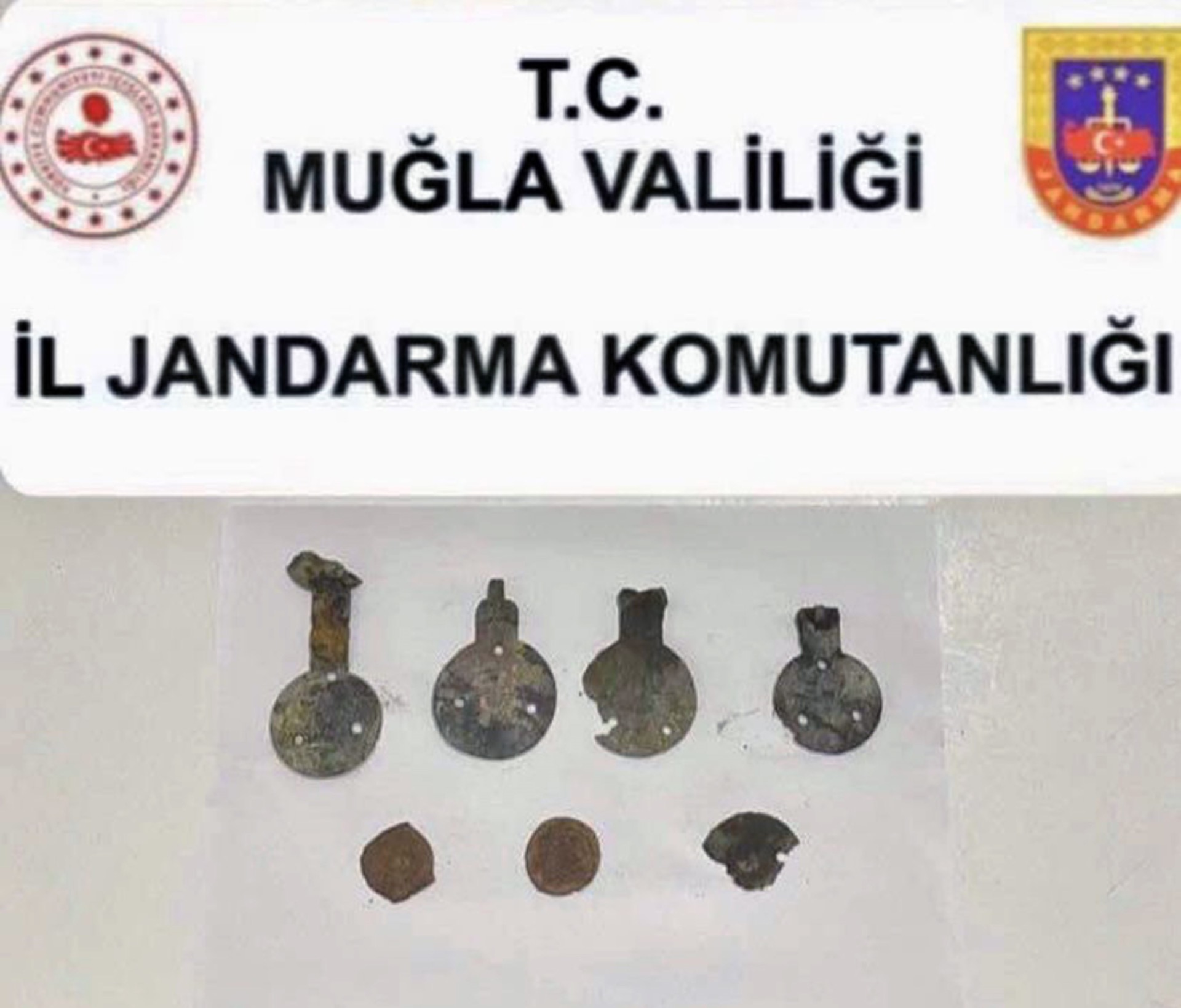 Jandarmadan Milas’ta tarihi eser operasyonu