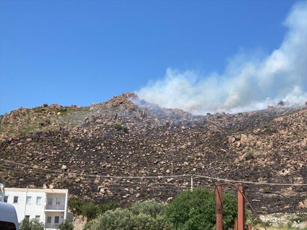 BODRUM'DA MAKİLİK VE OTLUK ALANDA ÇIKAN YANGIN SÖNDÜRÜLDÜ