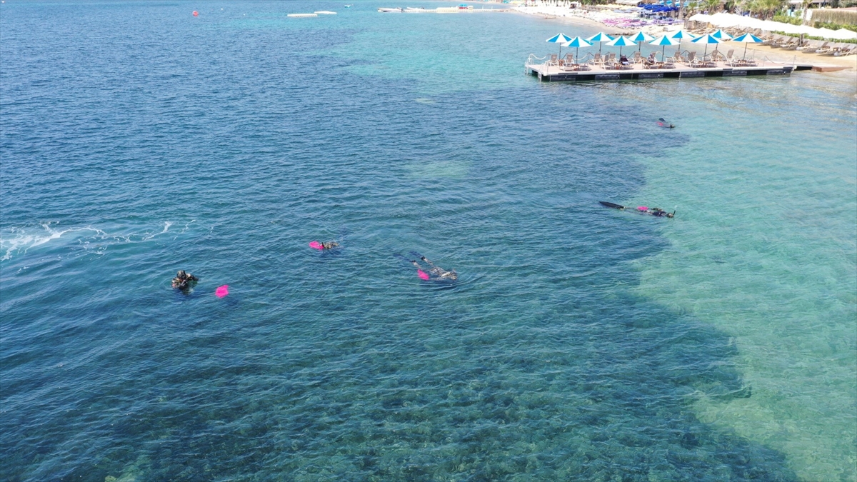 BODRUM'DA DALGIÇLAR YAKLAŞIK 10 YILDIR DENİZ DİBİNİ TEMİZLİYOR