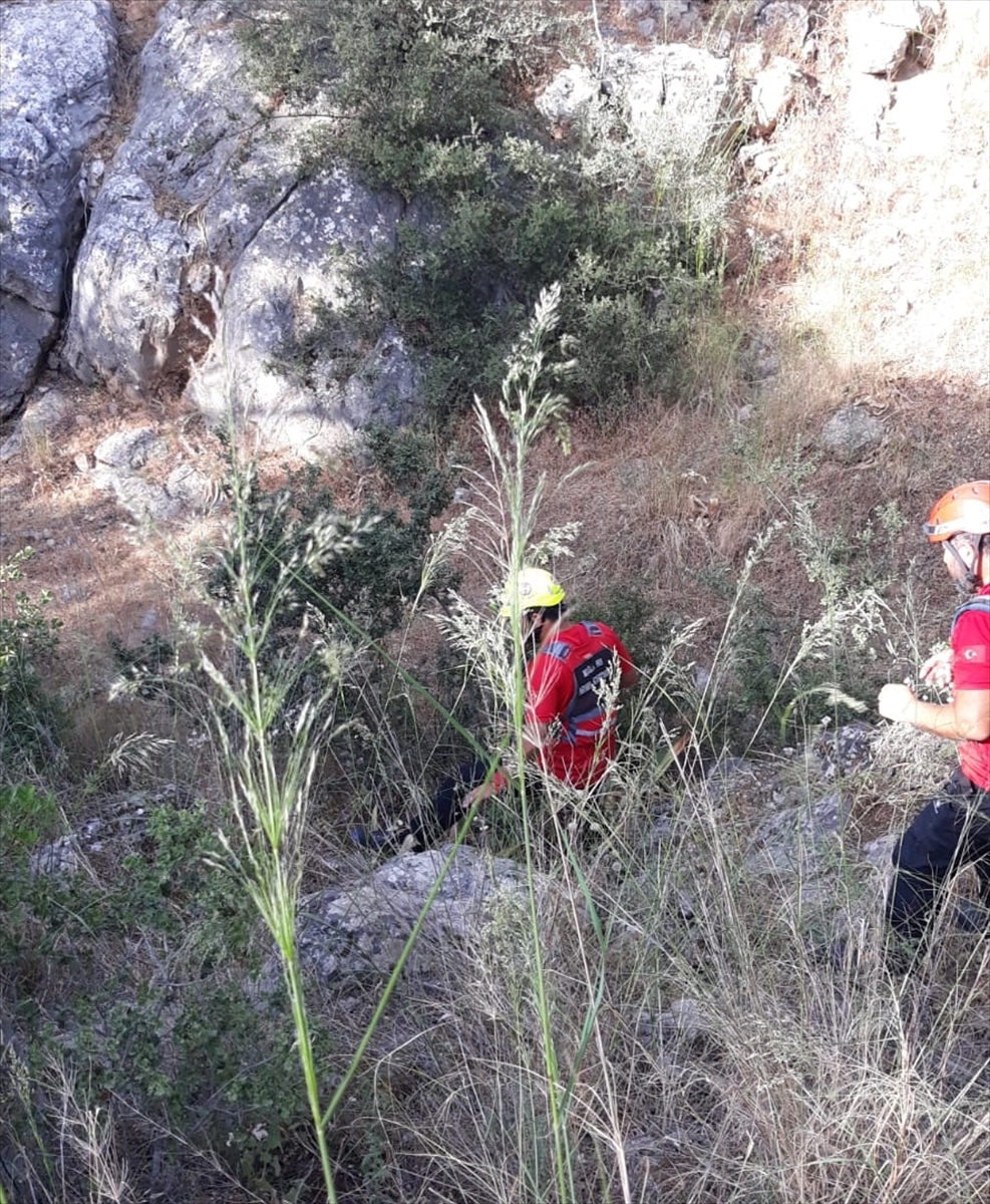 BODRUM’DA KAYIP OLARAK ARANAN KADIN ORMANLIK ALANDA BULUNDU