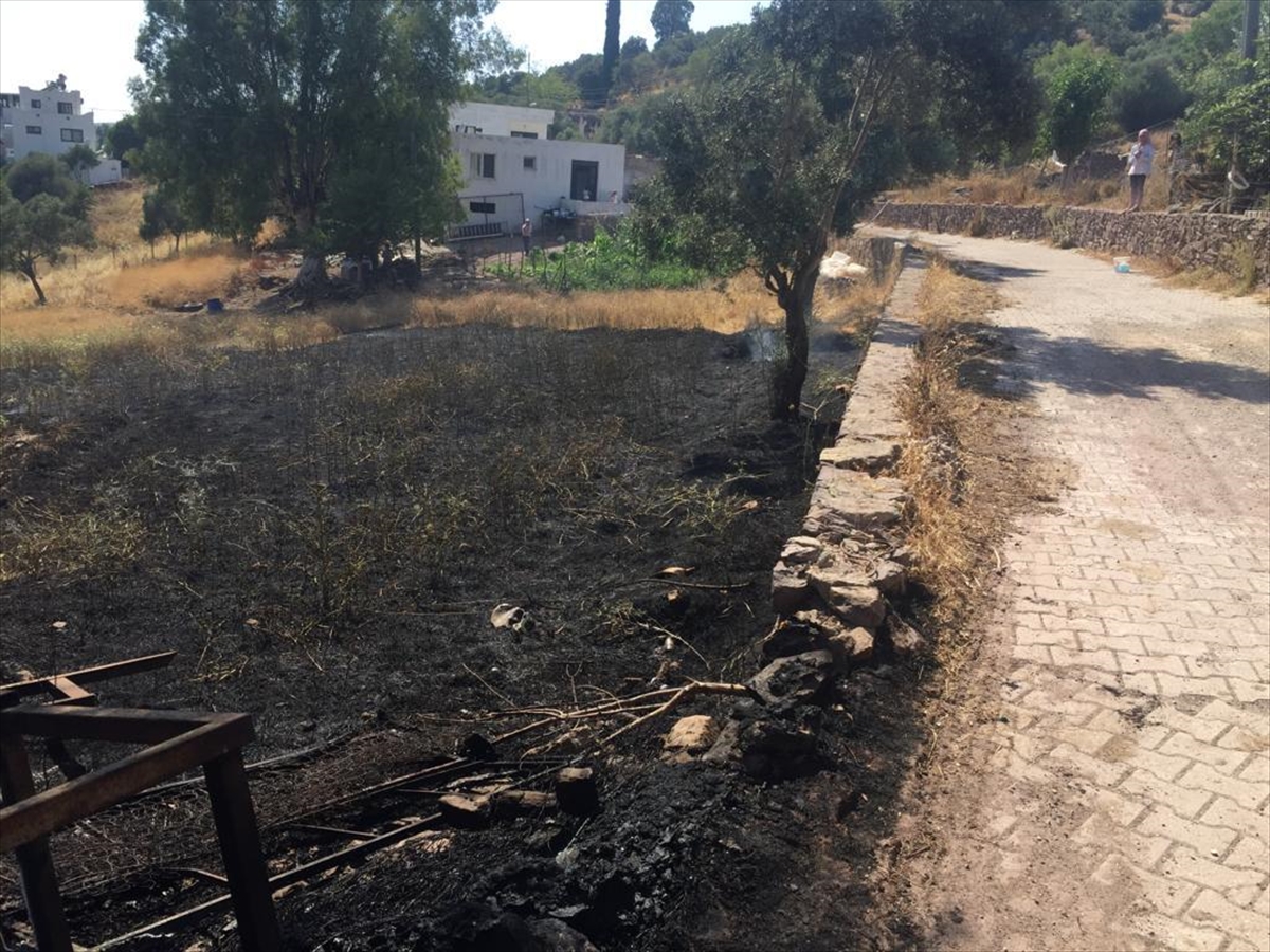 Bodrum'da otluk alanda başlayıp otomobile sıçrayan yangın söndürüldü