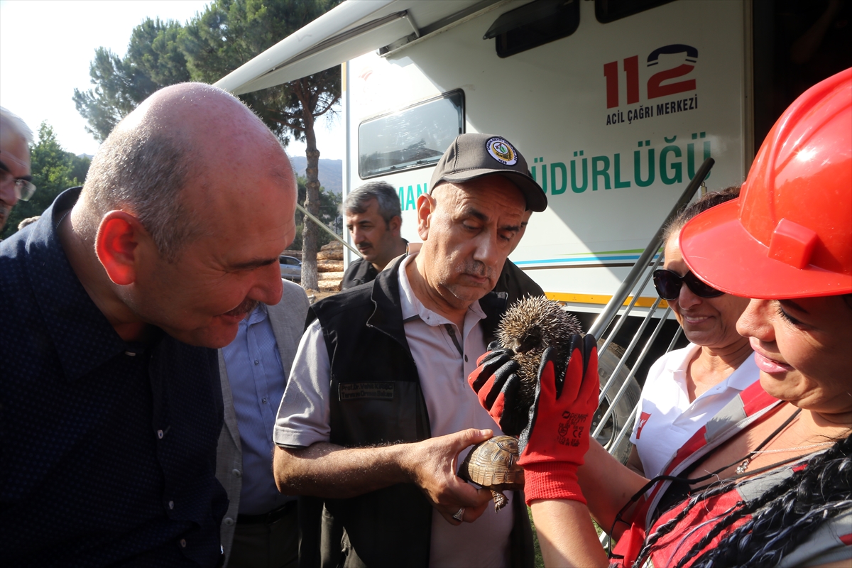 Marmaris'teki yangında mahsur kalan kirpi ve kaplumbağayı hayvanseverler kurtardı