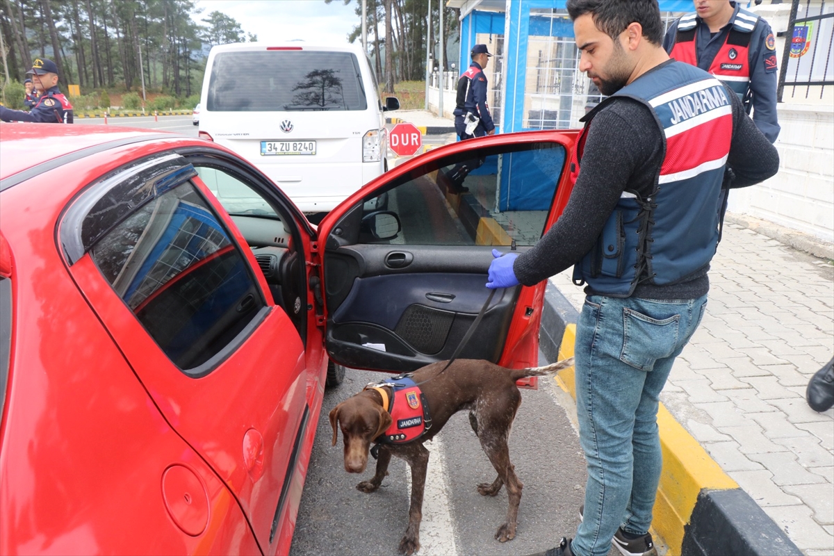 Muğla'da jandarmadan bayram denetimi