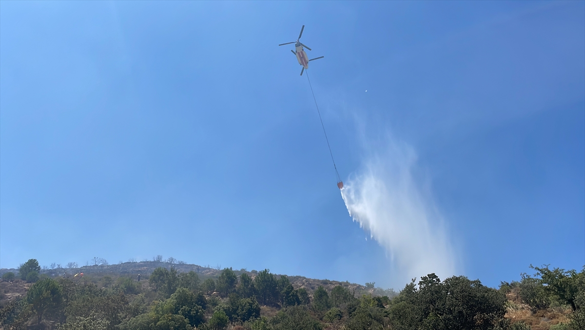 Bodrum Peksimet'te tarım arazisi ve makilik alanda çıkan yangın söndürüldü