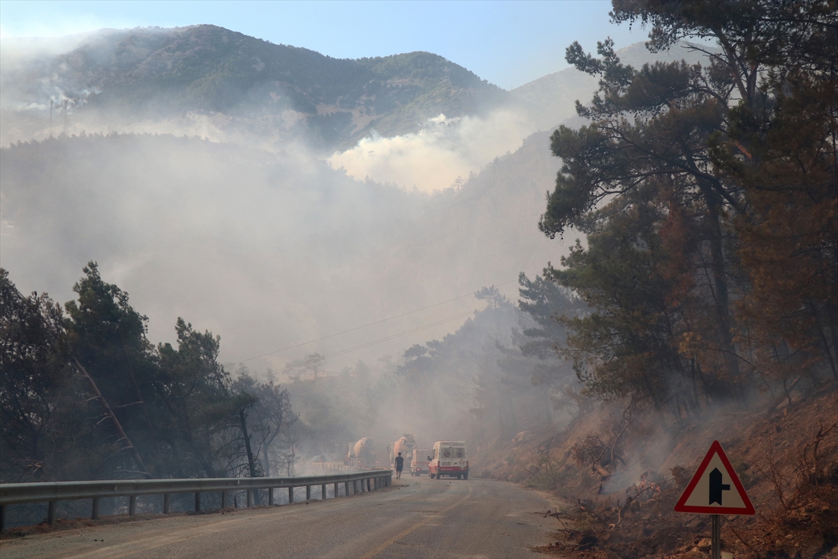 DATÇA YANGINI DEVAM EDERKEN ÇEŞME'DE DE YANGIN ÇIKTI... 7 kişi gözaltında! 
