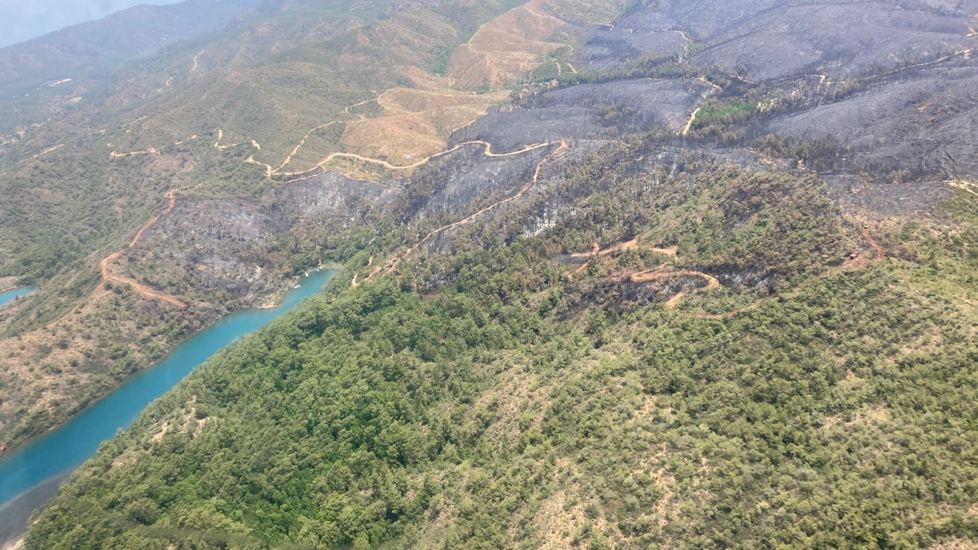 Marmaris orman yangıyla ilgili 1 kişi gözaltına alındı  