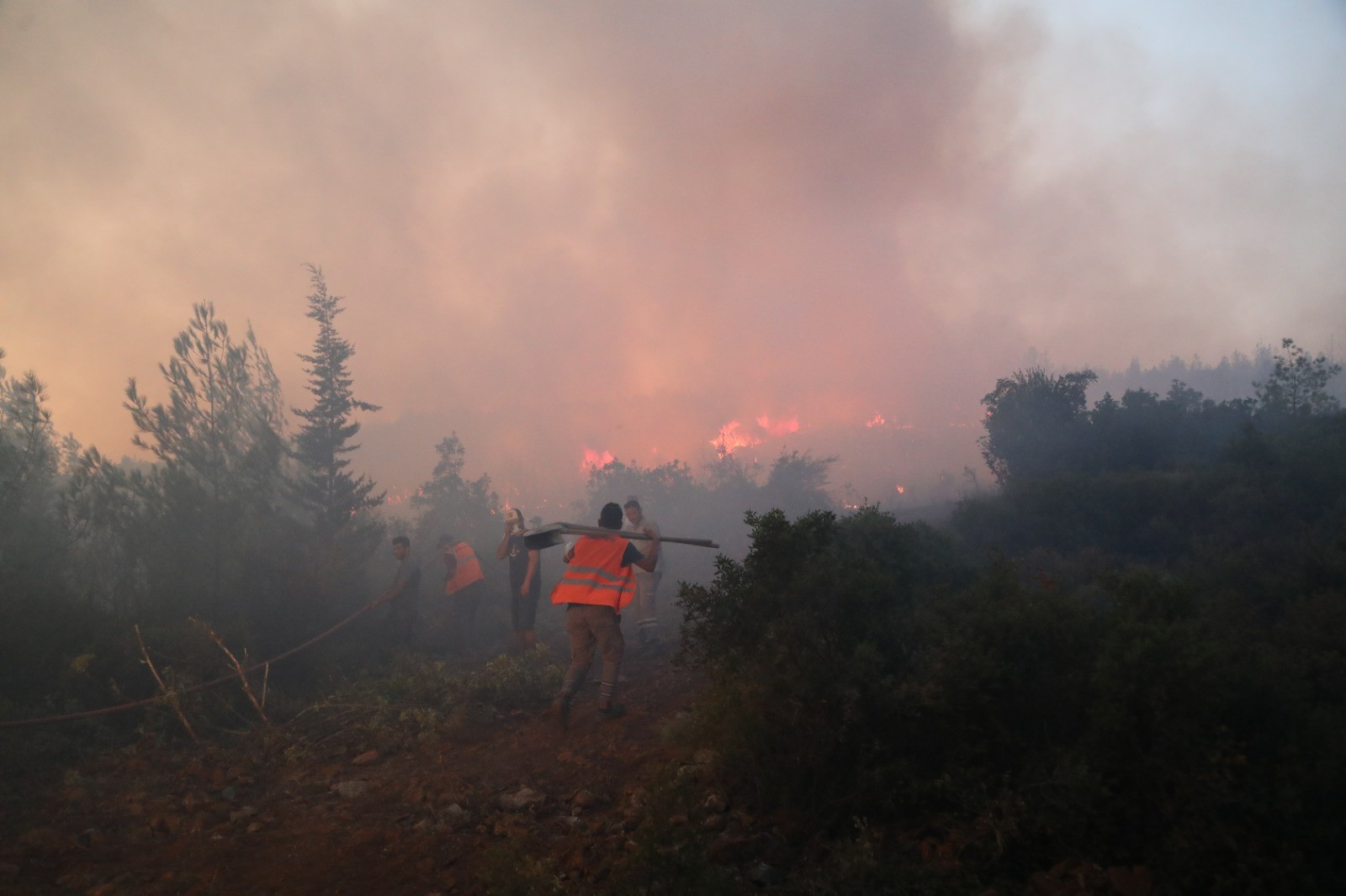 Orman yangınlarına karşı mücadele seferberliği  