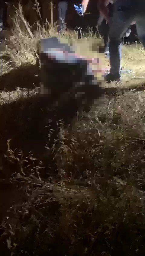  İngiliz televizyon yıldızı ile erkek arkadaşı Bodrum’da kaza yaptı! Erkek arkadaşı öldü, kendisi ağır yaralı kurtuldu   